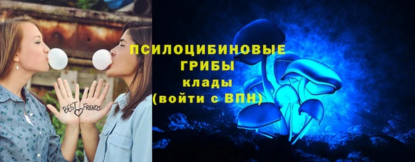 spice Алексеевка